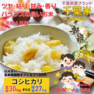 米 定期購入 30kg 千葉県産コシヒカリ 新米 お米 白米 27キロ 精米無料