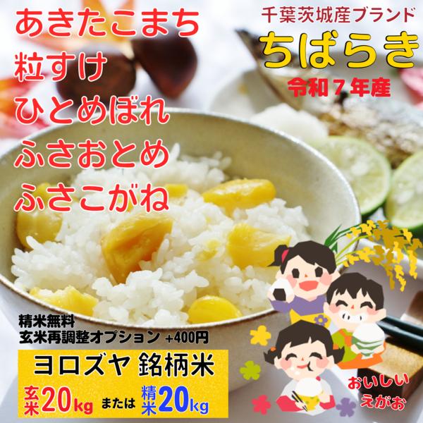 新米 ふさこがね ふさおとめ  ひとめぼれ あきたこまち 粒すけ 選べる お米 千葉県 白米 20k...