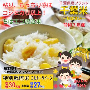 コシヒカリ 30kg 精米無料 白米 27キロ お米 玄米 30キロ 再調整