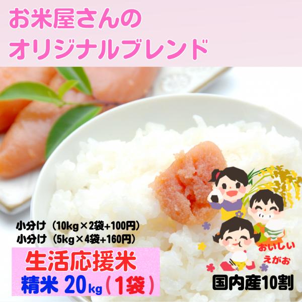 米 20kg 精米 送料無料 白米 オプション 5kg4袋 小分け 安い 新米 ふさおとめ ブ レン...