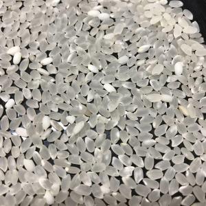 米 10kg 精米 送料無料 白米 オプション...の詳細画像5