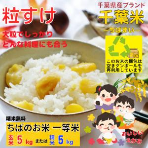 コシヒカリ 30kg 精米無料 白米 27キロ お米 玄米 30キロ 再調整