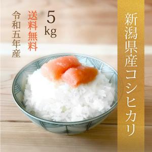 新潟県産コシヒカリ 白米 令和5年産 5kg 精米｜