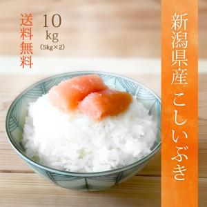 米 お米 8kg 青森県産 青天の霹靂 白米 8キロ 令和6年産 送料無料