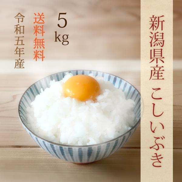 新潟県産こしいぶき 白米 令和5年産 5kg 精米