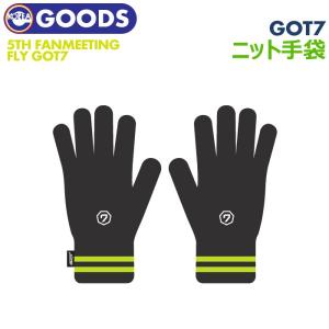 ★セール★【即日発送】【 GOT7 09. 手袋 (スマートフォンTOUCH可) 】  GOT7 IGOT7 5TH FAN MEETING ペンミ 公式商品