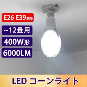 岩崎電気 岩崎 屋外用レフランプ 散光形 RF110V90WH 100W形 E26口金
