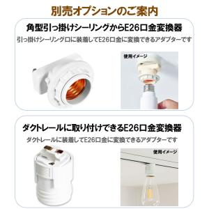 E26 シーリングファンライト 壁スイッチ停電...の詳細画像3