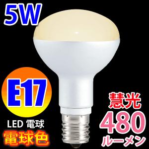 パナソニック ミニレフ電球 100V 40W E17口金 50ミリ径 LR100V40WS_set