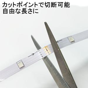 RGB LEDテープライト 24V 調光・調色...の詳細画像4