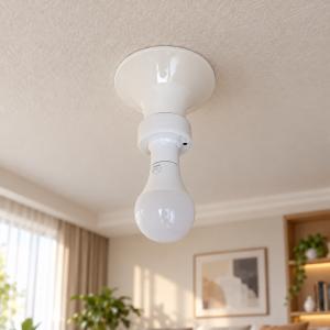 LED電球 E26 単色 三段調色 音声識別 ...の詳細画像1