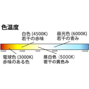 LED蛍光灯 10W形 本数選択 33cm 1...の詳細画像4