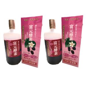 日本ベスト ラクトミニオンプレミアム 90ml (清涼飲料水) 乳酸菌生産