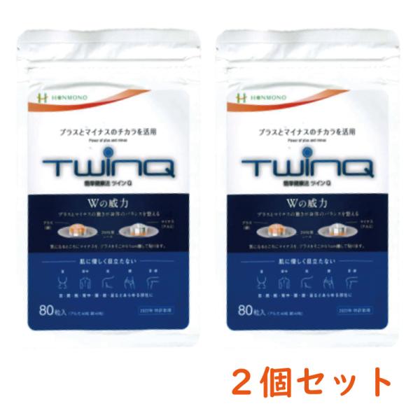 ツインＱ（TWINQ）80粒入り（Al アルミ：40粒、Cu 銅：40粒）X ２個セット　本物研究所