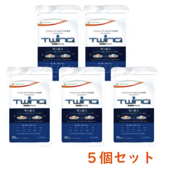 ツインＱ（TWINQ）80粒入り（Al アルミ：40粒、Cu 銅：40粒）X ５個セット　本物研究所