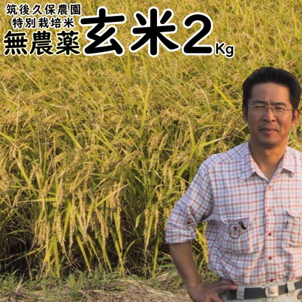 無農薬 玄米 2Kg お試しセット 何度でもご利用頂けます 栽培中 無肥料 特別栽培米 筑後久保農園...