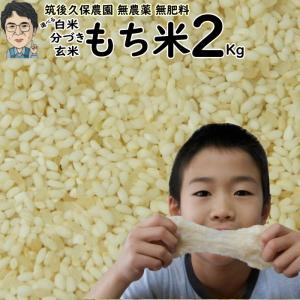 無農薬 無肥料 栽培米 もち米 2Kg | お試しセット 何度でもご利用頂けます 福岡県産 ひよくもち 筑後久保農園 自然栽培米｜福岡江久母