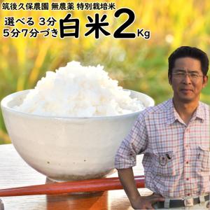 無農薬 特別栽培米 2Kg 栽培中 無肥料 筑後久保農園 令和7年度産 福岡県産 にこまる 選べる 白米 ７分 ５分 ３分づき 農家直送