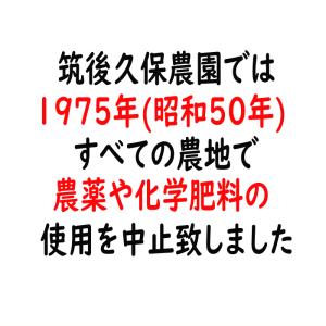 無農薬 無肥料 大豆5Kg | 無施肥 福岡県...の詳細画像3