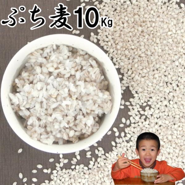 ぷち麦 10Kg 無農薬 大麦 福岡県産 筑後久保農園