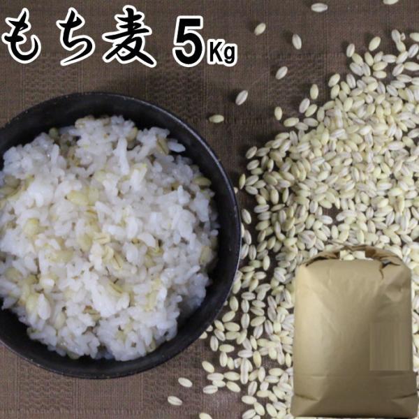 もち麦 5Kg 大麦 くすもち二条 無農薬 筑後久保農園 福岡県産 国産