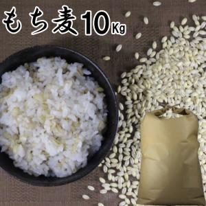 もち麦 10Kg 大麦 くすもち二条 無農薬 筑後久保農園 福岡県産 国産
