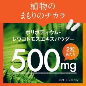 ヘリオスキン 60粒 3個 シダ植物抽出物 栄...の詳細画像4