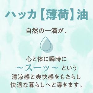 ハッカ油 天然 日本製 200mL 大容量 ミ...の詳細画像2