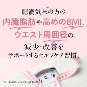 エラグ酸 サプリ 内臓脂肪 体脂肪 の減少をサ...の詳細画像1