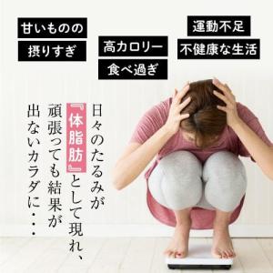エラグ酸 サプリ 内臓脂肪 体脂肪 の減少をサ...の詳細画像5
