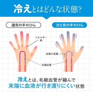 脚の むくみ 手の冷え を軽減 ヒハツ サプリ...の詳細画像5