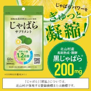 2箱セット】仙生露 SSG+ 顆粒 2000mg×30包×4箱 エスエスジープラス SSG