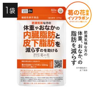 葛の花 サプリメント 肥満気味 な方の 体重 ...の詳細画像1