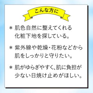 ラロッシュポゼ UVイデアXL 色なし SPF...の詳細画像3