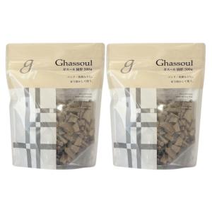 ナイアード ガスール 固形タイプ 徳用サイズ 500g 2個セット パック クレイ