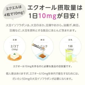 エクエル パウチ エクオール 大塚製薬 120...の詳細画像4
