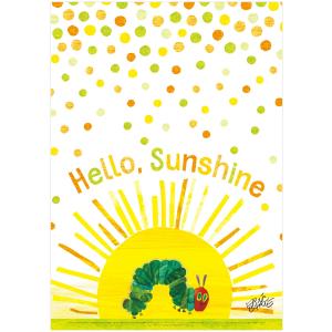 ERIC CARLE エリック・カール B4サイ...の商品画像