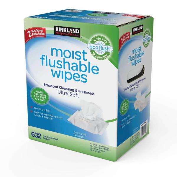 カークランドシグネチャー 流せるウェットワイプ 64 枚 x 10