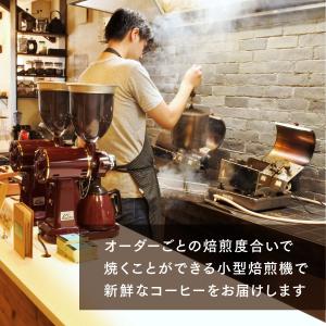 ブルボンピーベリー [ ブラジル産 ] / 220gの詳細画像2
