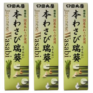 わさび チューブ 本わさび 水葵 42g 3本セット 田丸屋本店