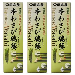 わさび チューブ 本わさび 水葵 42g 3本セット 田丸屋本店 山葵 国産 日本産｜elci-online