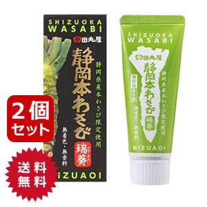 山葵 静岡名産 チューブ 70g ねりわさび