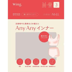 ワコール Wacoal Wing ウイング 使...の詳細画像5