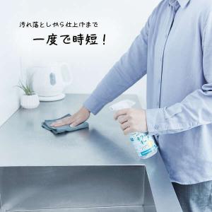 汚れを落として 除菌 & フッ素コートキラット...の詳細画像4