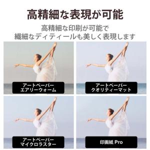エレコム 写真用紙 A4 20枚 アートペーパ...の詳細画像4