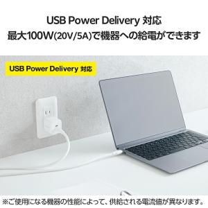 エレコム Type-Cケーブル USB 10G...の詳細画像5