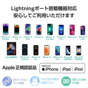 エレコム 直差し モバイルバッテリー 5000...の詳細画像5