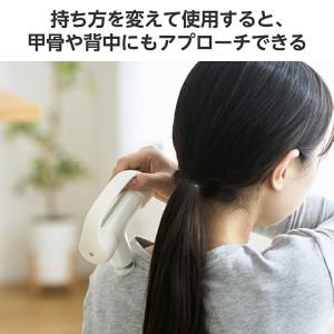 エレコム ドクターエア (REG-04) 用 ...の詳細画像5