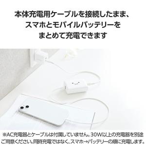 エレコム モバイルバッテリー 30W 1000...の詳細画像5