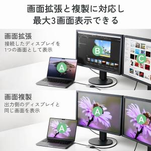 エレコム Type-C- HDMI 映像変換ア...の詳細画像5